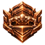 Bronze rank badge